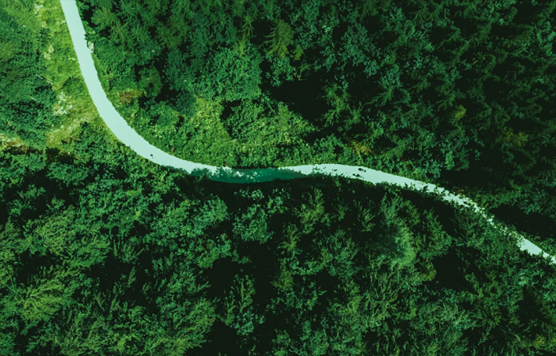 担责于身，推动绿色发展