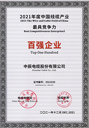 2021年度最具竞争力百强企业